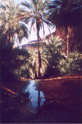 Les oasis dans le dsert mauritanien restent sous le contrle es Maures blancs